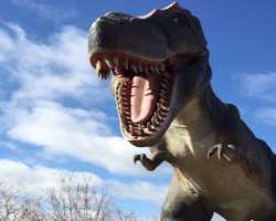 There are also structures of Dinosaurs to teach about the pre-historic animal to the visitors in the park.